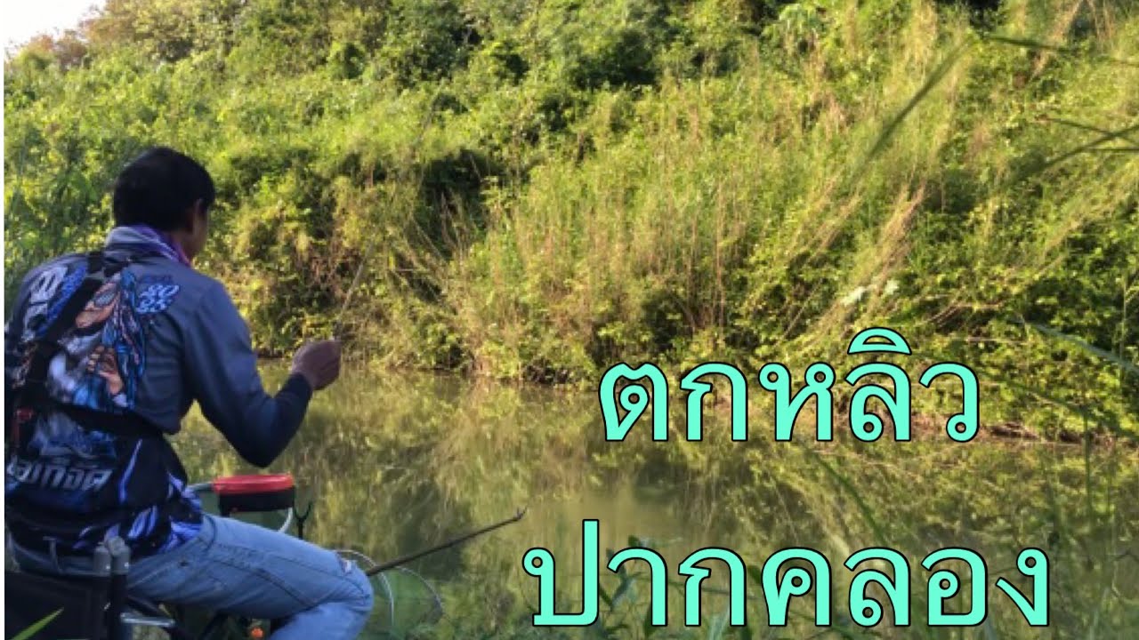 EP88 ตกปลาหมายธรรมชาติ  ปากคลองส้ม คลองสาขาแม่น้ำป่าสัก  อากาศมันร้อน 