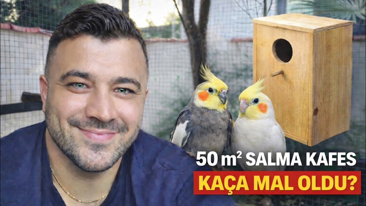 50 m² Salma Kafesin Gerçek Maliyeti! Kuş Üretimi Karlı mı? (Tüm Rakamları Açıklıyorum)