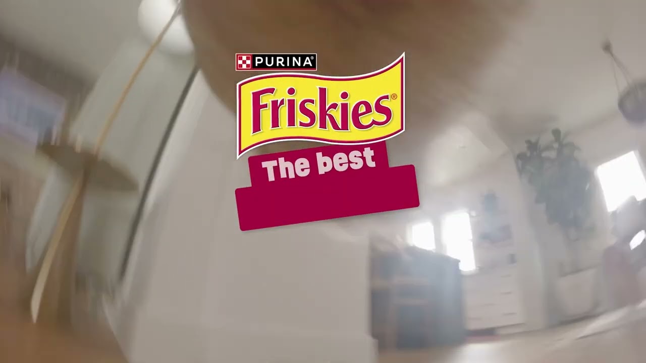 On a Quest for the Best Dry Cat Food? Try Friskies Dry Cat Food