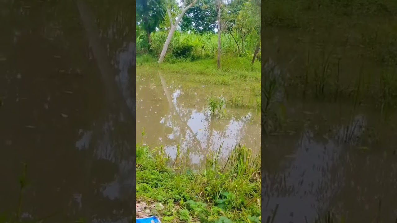 Baarish Ka aatank #new video #ytshorts