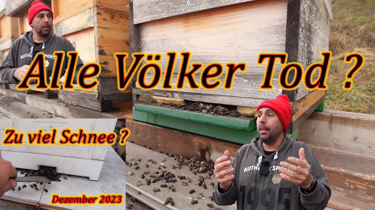 Bienen Tod ?Imkern im Dezember was macht der Imker Varroa Behandlung
