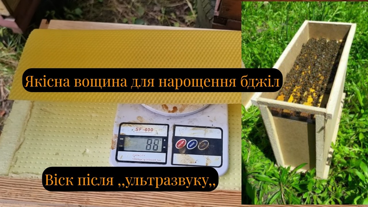 Розвиток бджіл та майбутні бджолопакети\ Переробка воску ,,ультразвуком,,