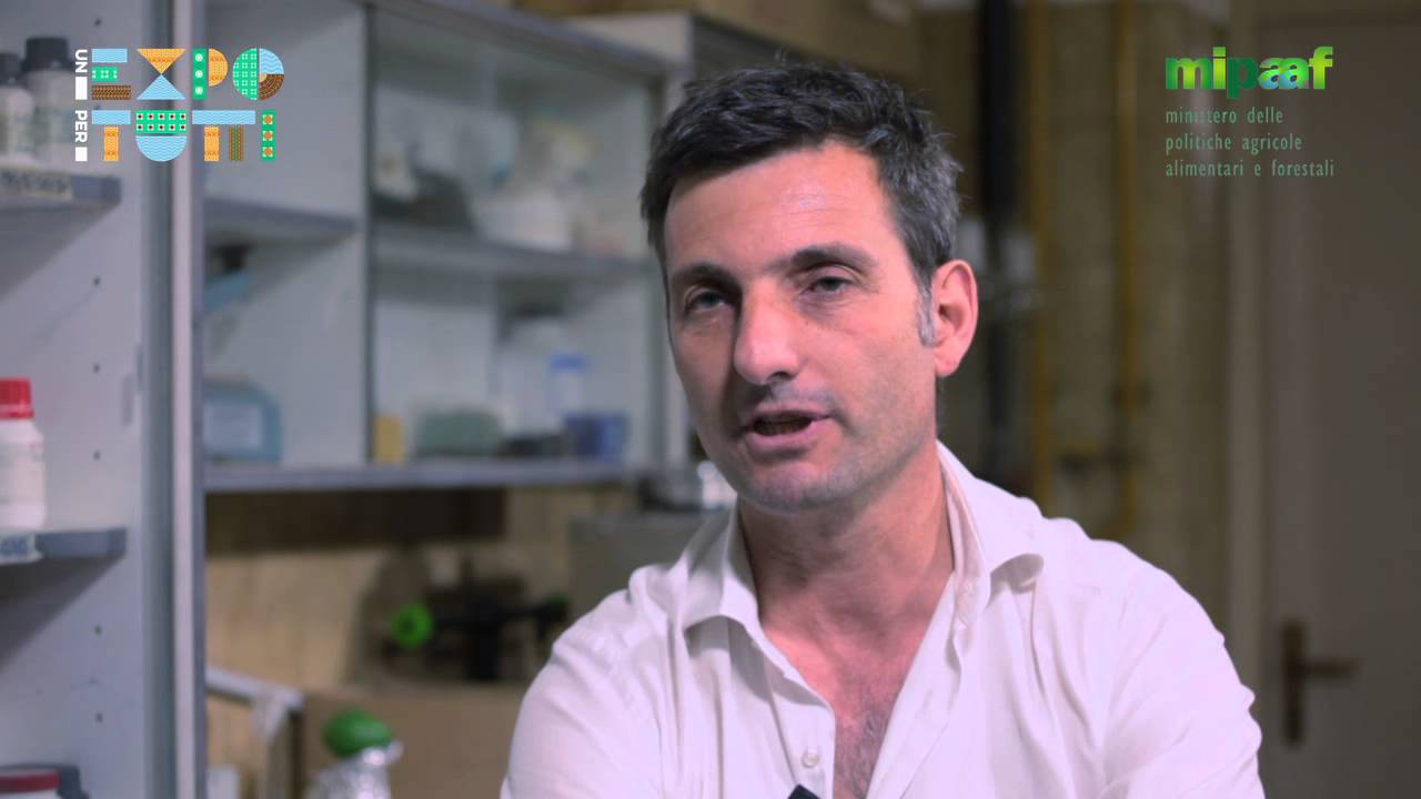 Perch&eacute; &egrave; necessario coprire le vasche di stoccaggio dei reflui zootecnici?