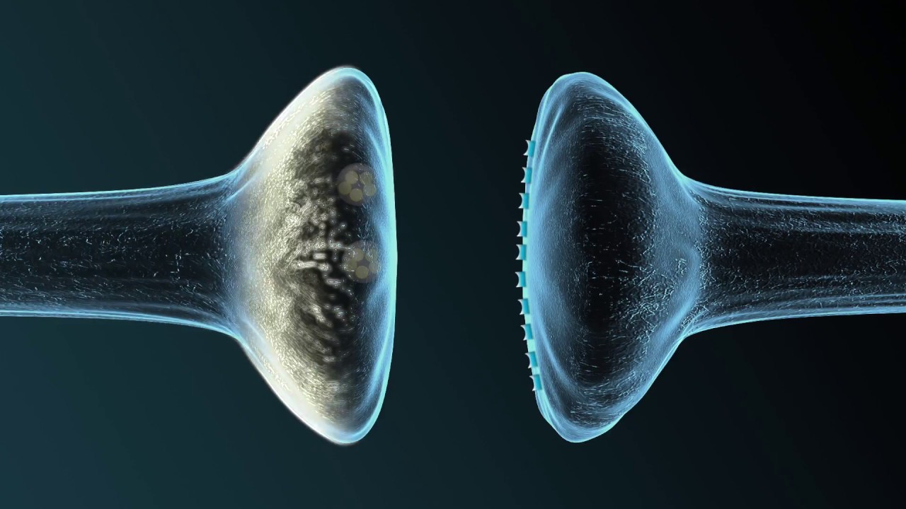 Parkinson – Was passiert im Kopf