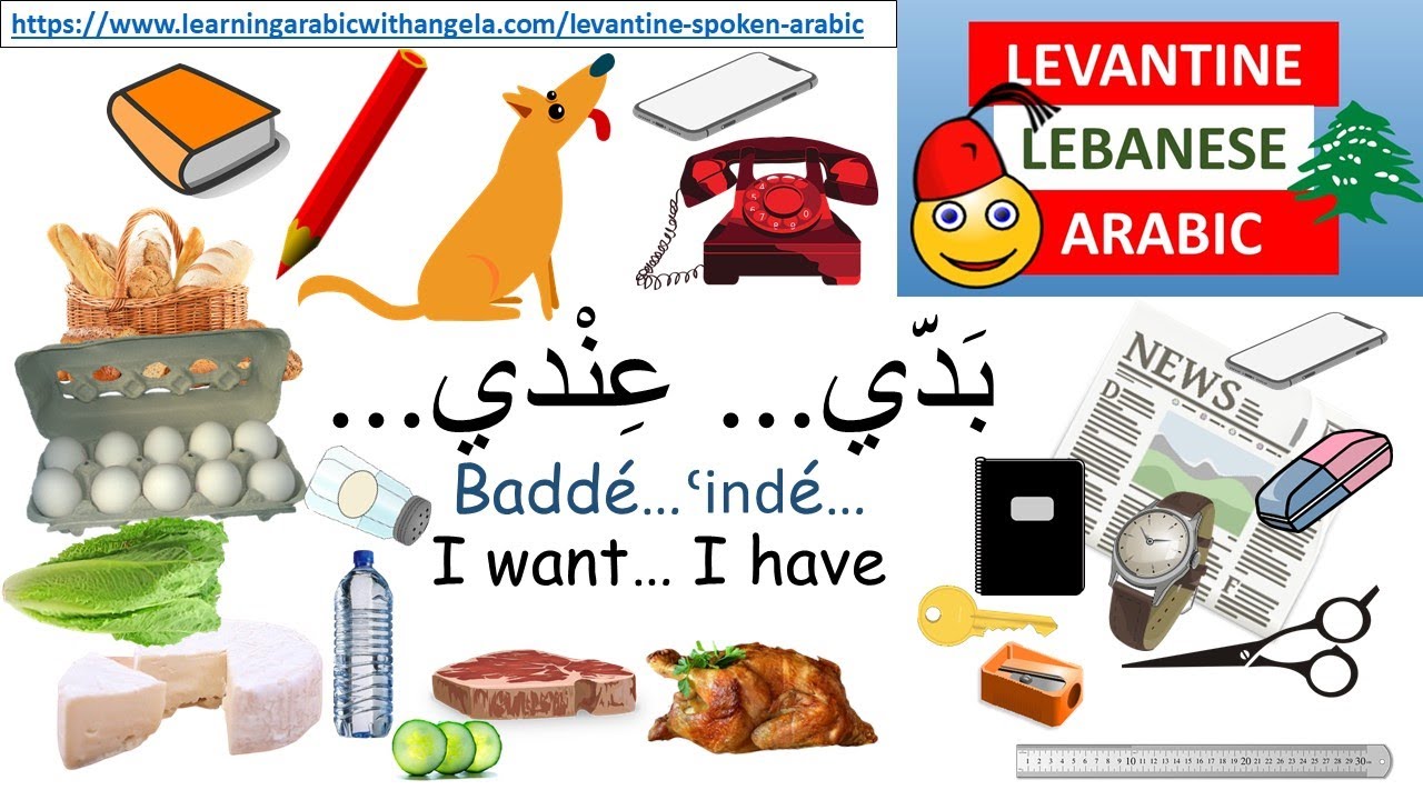 I want- I have-Learn Levantine Lebanese  Arabic with Angela