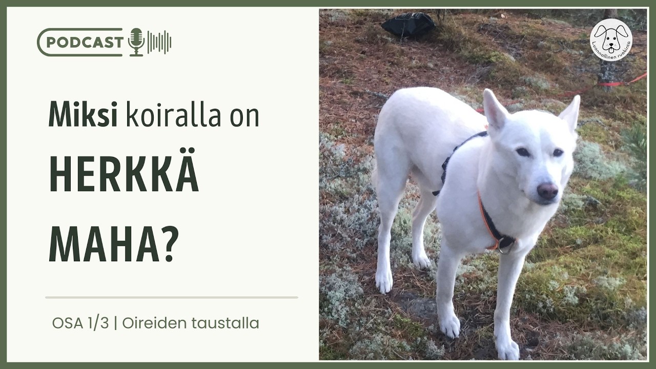 Herkkävatsainen koira - miksi maha menee helposti sekaisin | Osa 1/3