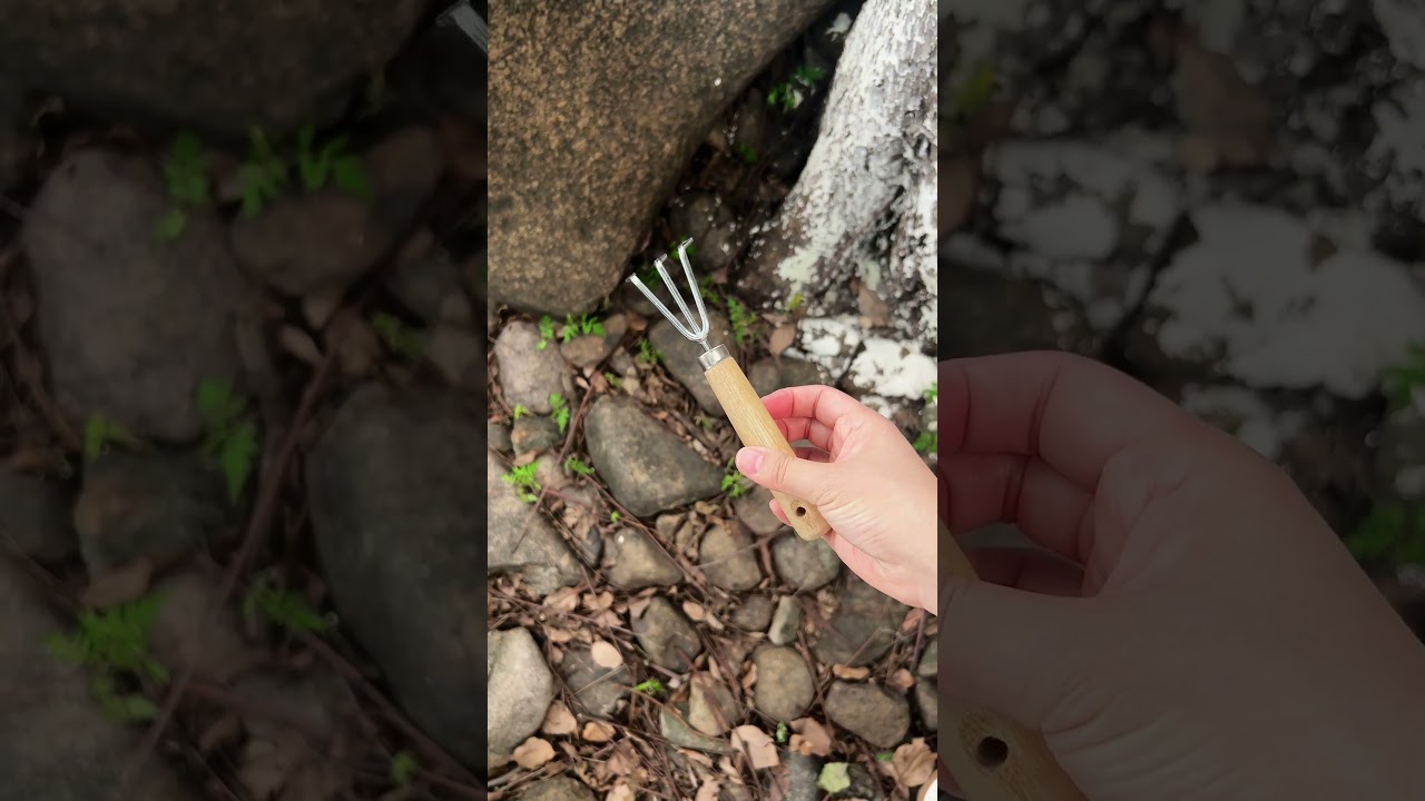 Small Tool, Real Work 🌱