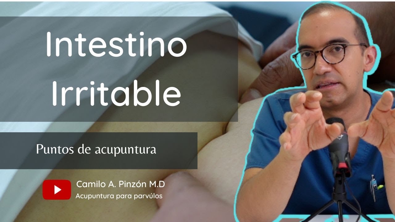 SINDROME DE INTESTINO IRRITABLE puntos para su manejo | Acupuntura para párvulos