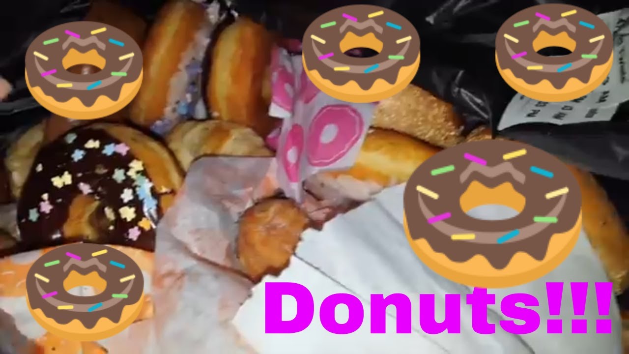 JACKPOT!!! Dunkin Donuts Dumpster Dive - Night 349
