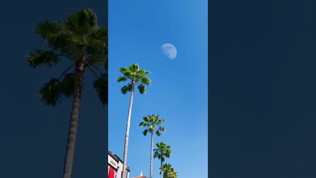 Meteor hit the moon, moon impacted by asteroid #whatisthat #moonattack