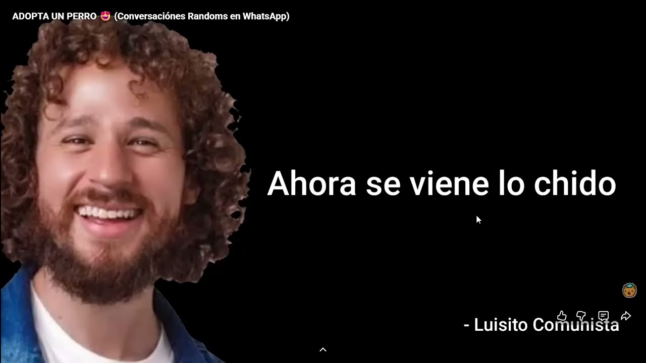 ADOPTA UN PERRO 😍 misael reacciona a zanoxplay