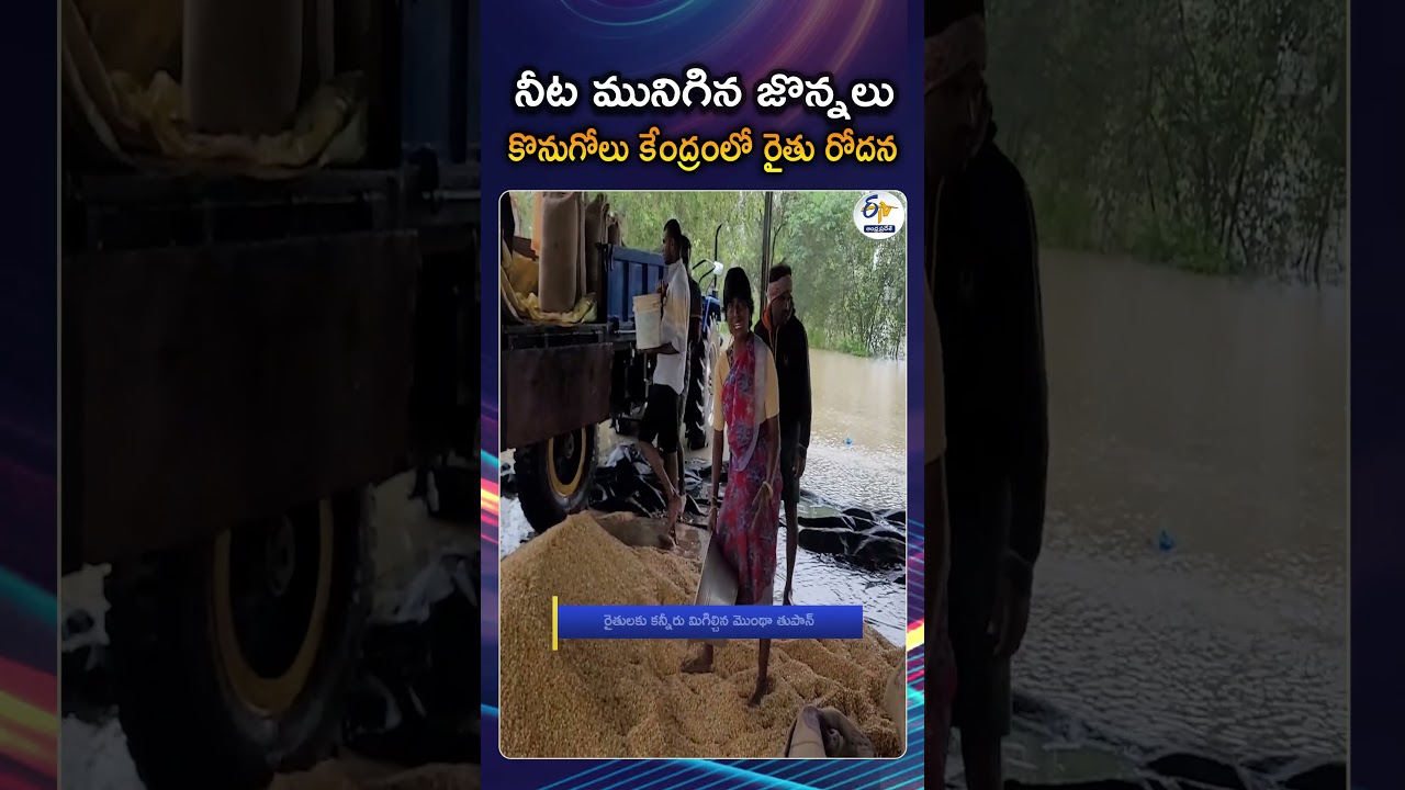 Montha Cyclone Effect | Farmer Lament Audibly Due To Loss Of His Maize In Flood