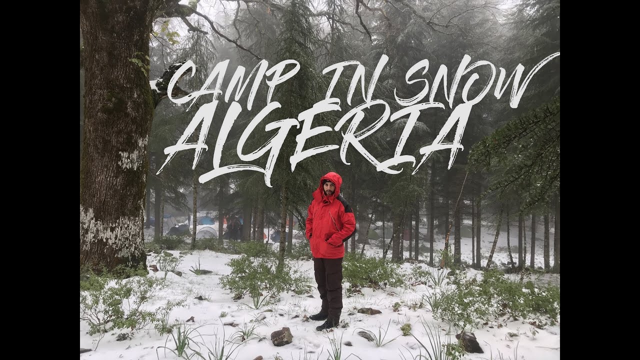 خيمنا وسط العاصفة الثلجية 😍🗻❄️في أجمل الغابات الجزائرية