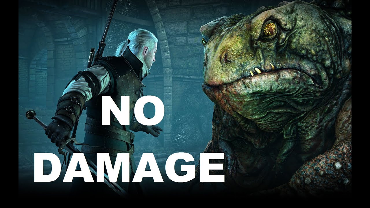 The Witcher 3: Wild Hunt - 