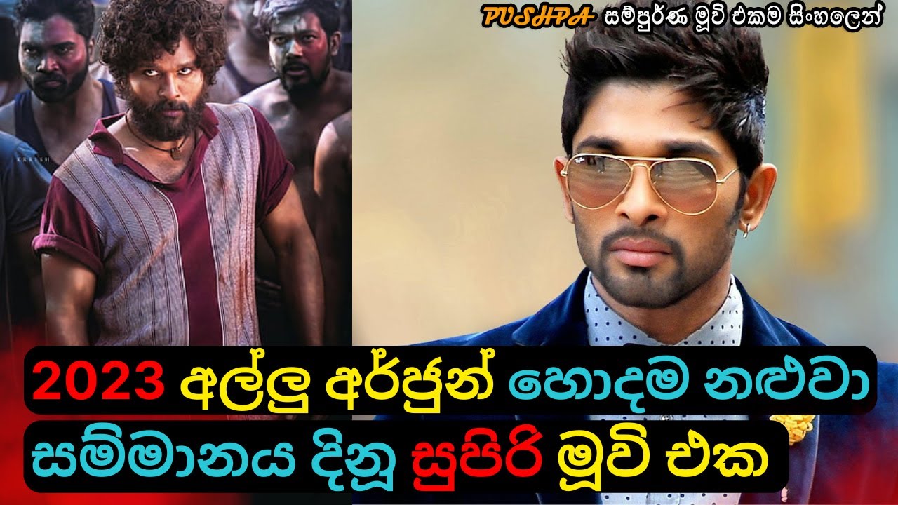 2023 අල්ලු අර්ජුන් හොදම නළුවා සම්මානය දිනූ මූවි එක | Telugu Movie Review Sinhala| C Puter 2023