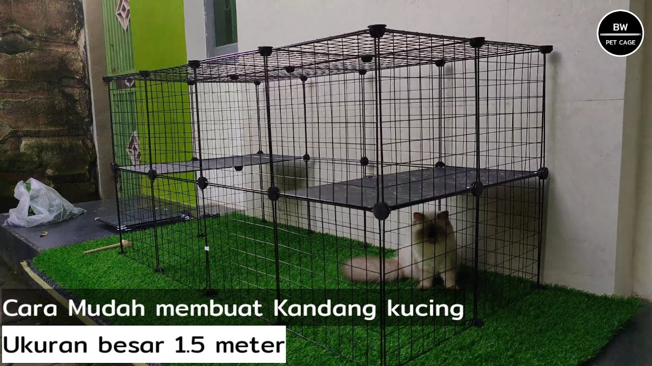 DIY - membuat kandang kucing luar rumah simpel dan mudah