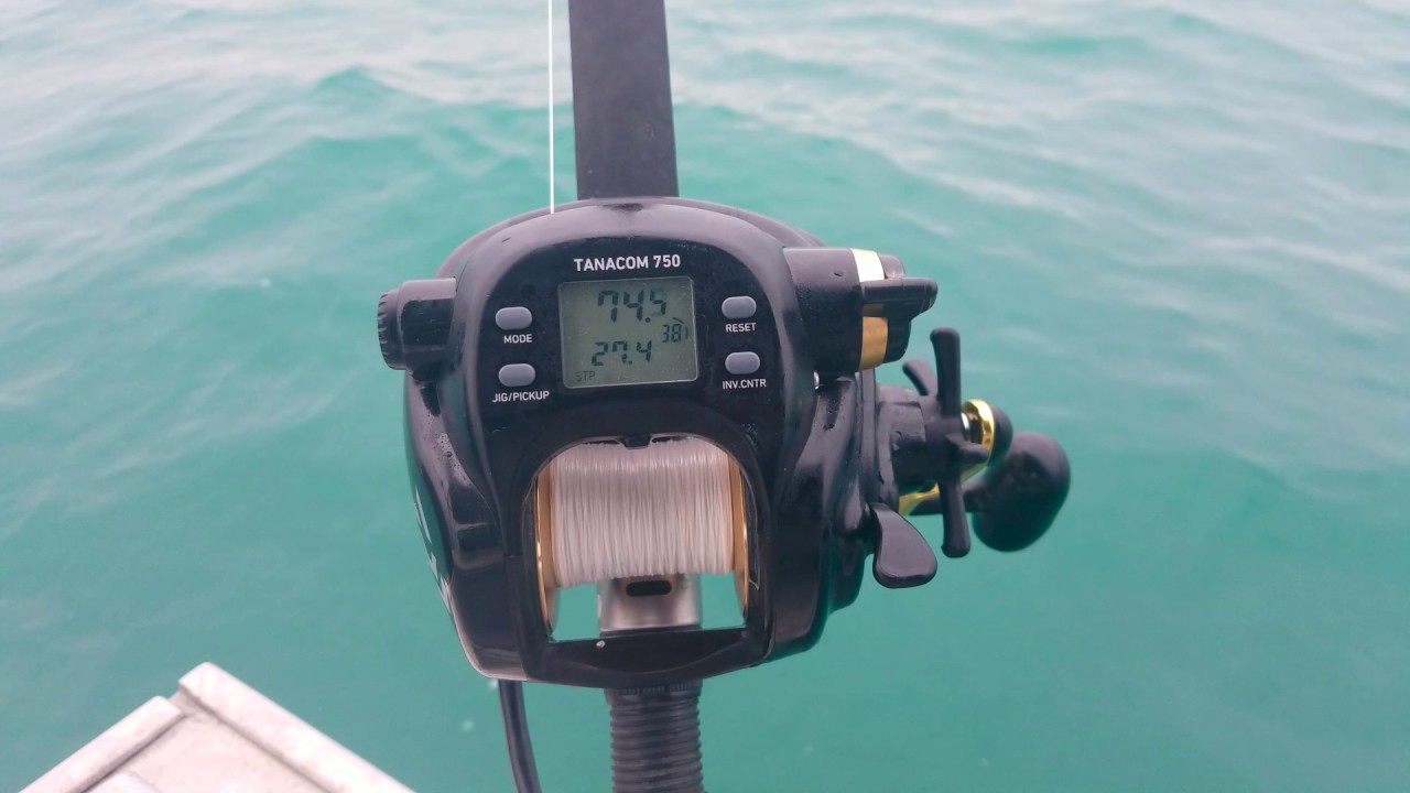 Halibut fishing with a Daiwa Tanacom 750 Electric Reel.