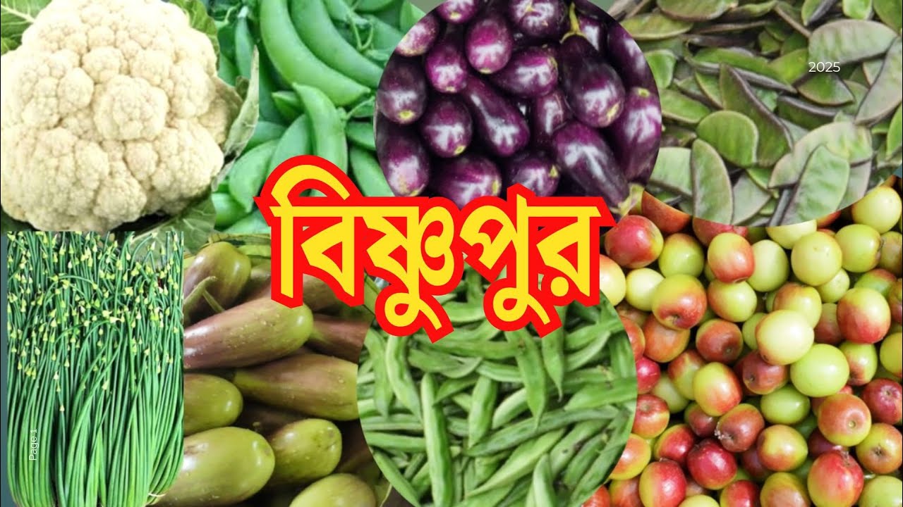 বিষ্ণুপুর হাটে সবজির দাম | Bishnupur Haat | Wholesale Vegetable Market in Kolkata |