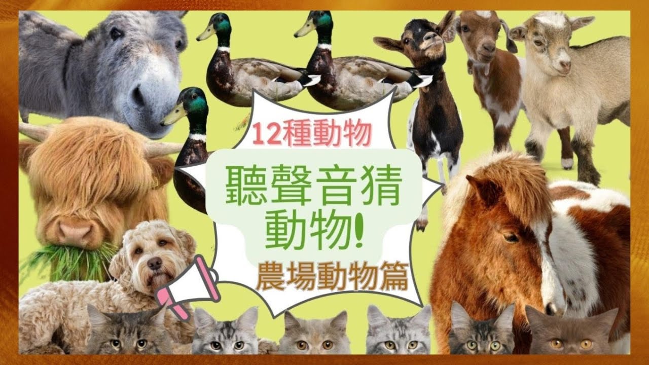 3秒鐘聽聲音猜動物!農場動物篇! Guess the animals by their sounds | Farm Animals | #farmanimalsound #農場動物