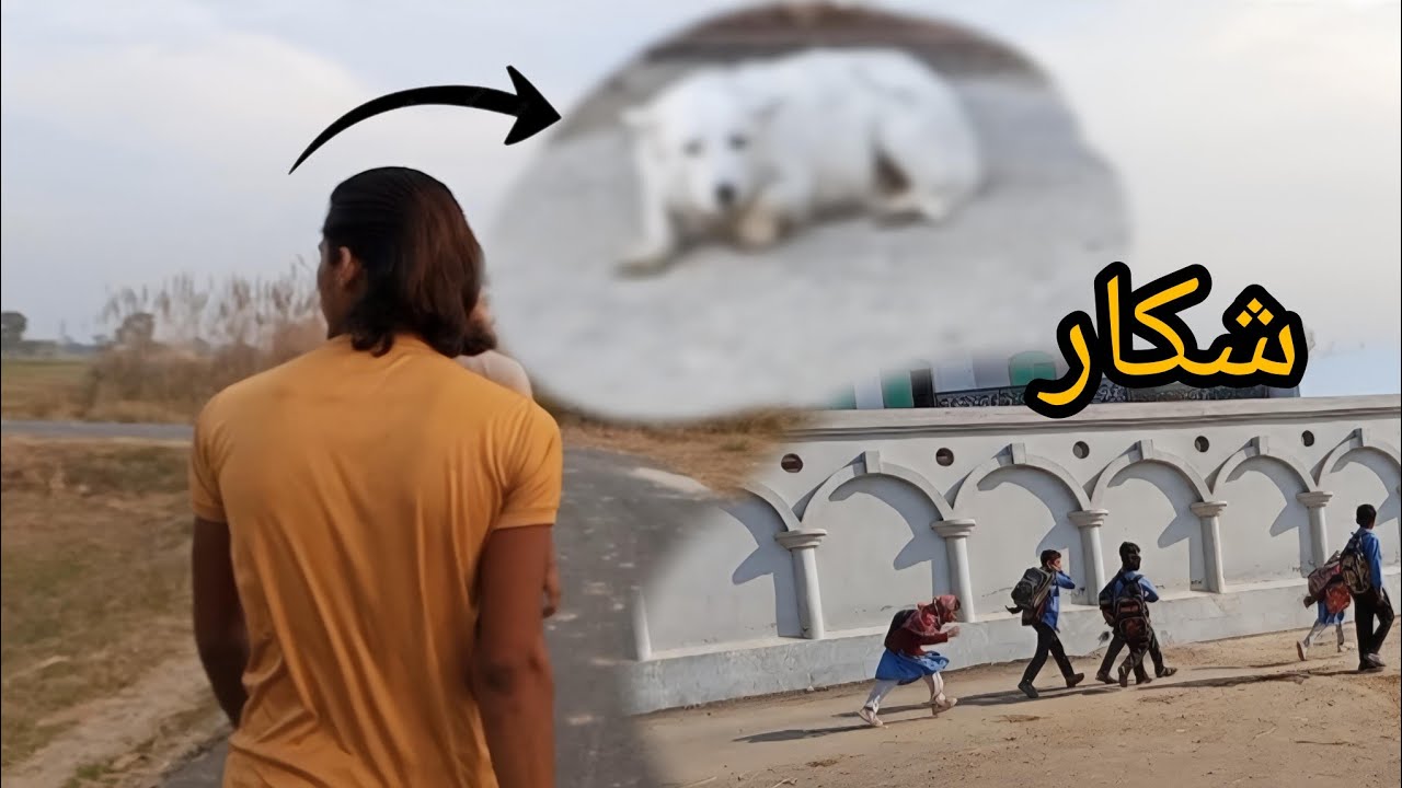 Aj shkar krna gy🦮🐗🐗| سور کا