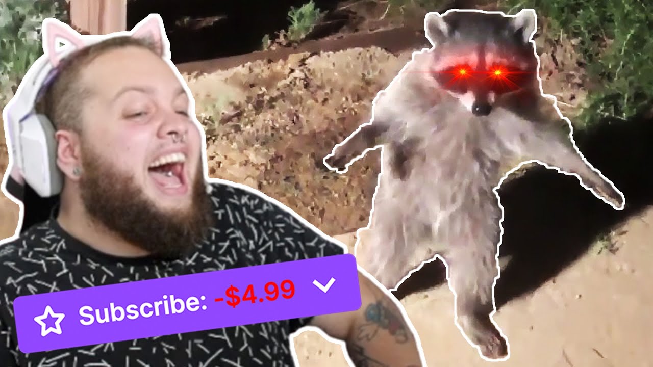 If I Laugh, the Video Ends... AND My Viewers Gets a Sub