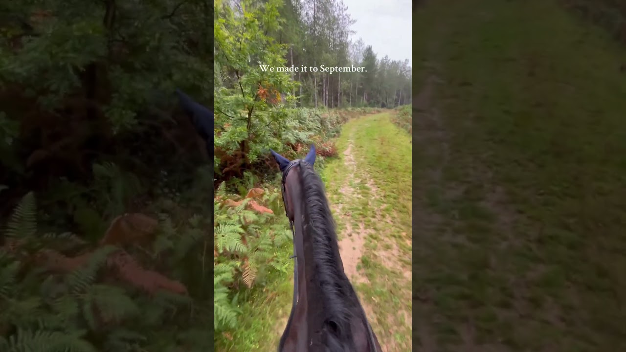 Это был такой трудный год!