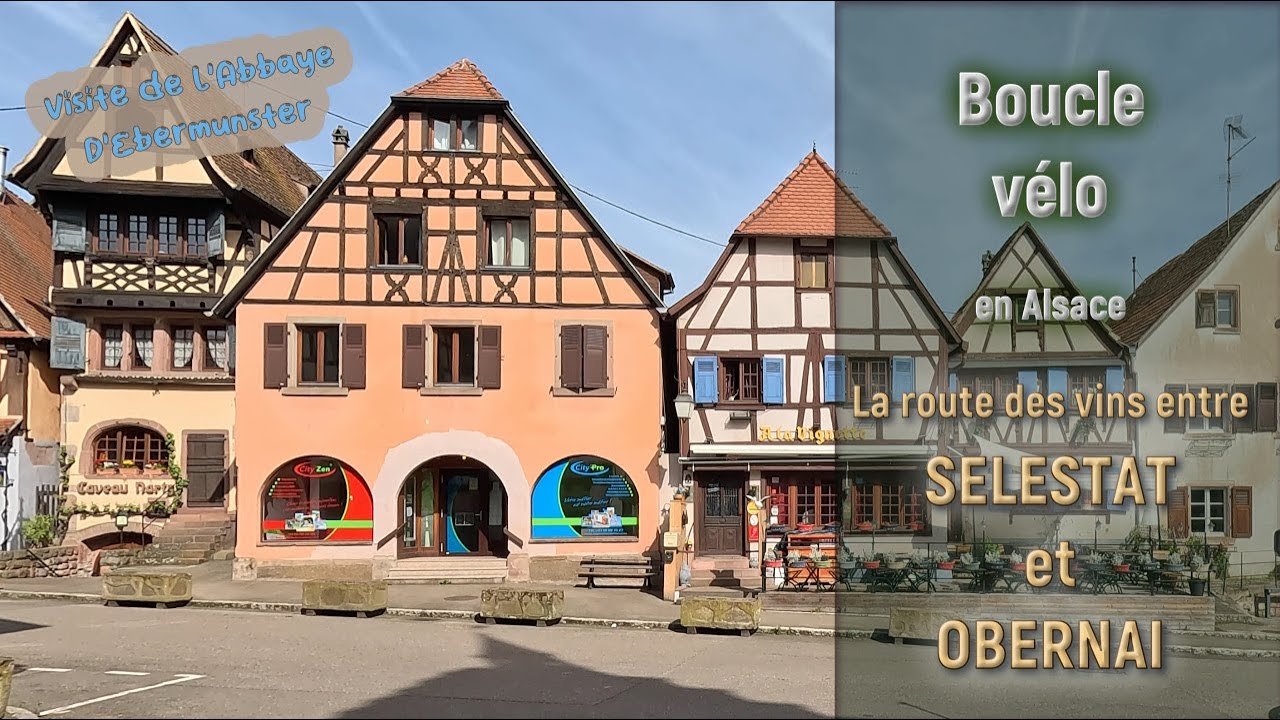 Boucle vélo en Alsace - La route des vins entre Sélestat et Obernai