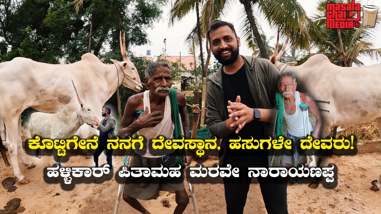 Hallikar legend Marave Narayanappa ಕೊಟ್ಟಿಗೇನೆ ನನಗೆ ದೇವಸ್ಥಾನ, ಹಸುಗಳೇ ದೇವರು! | Kannada Vlogs
