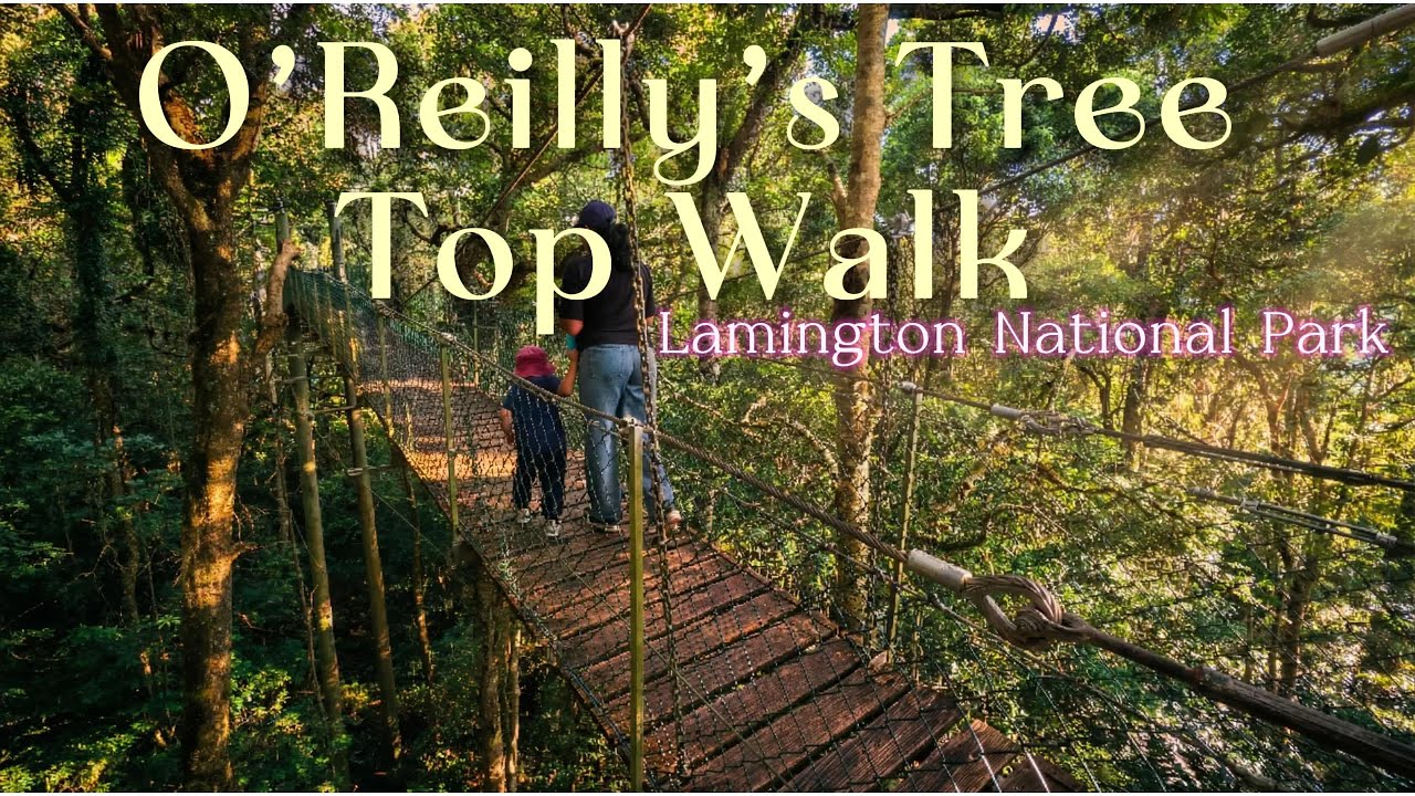 O’Reilly’s Rainforest & Tree Top Walk | Lamington National Park, Queensland, Australia🌿