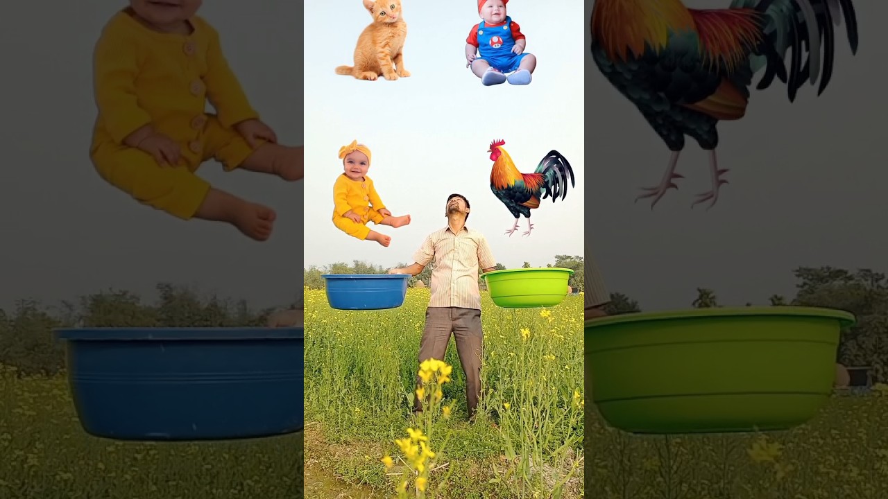 February 13, 2023 Baby & animal catching funny vfx magic video