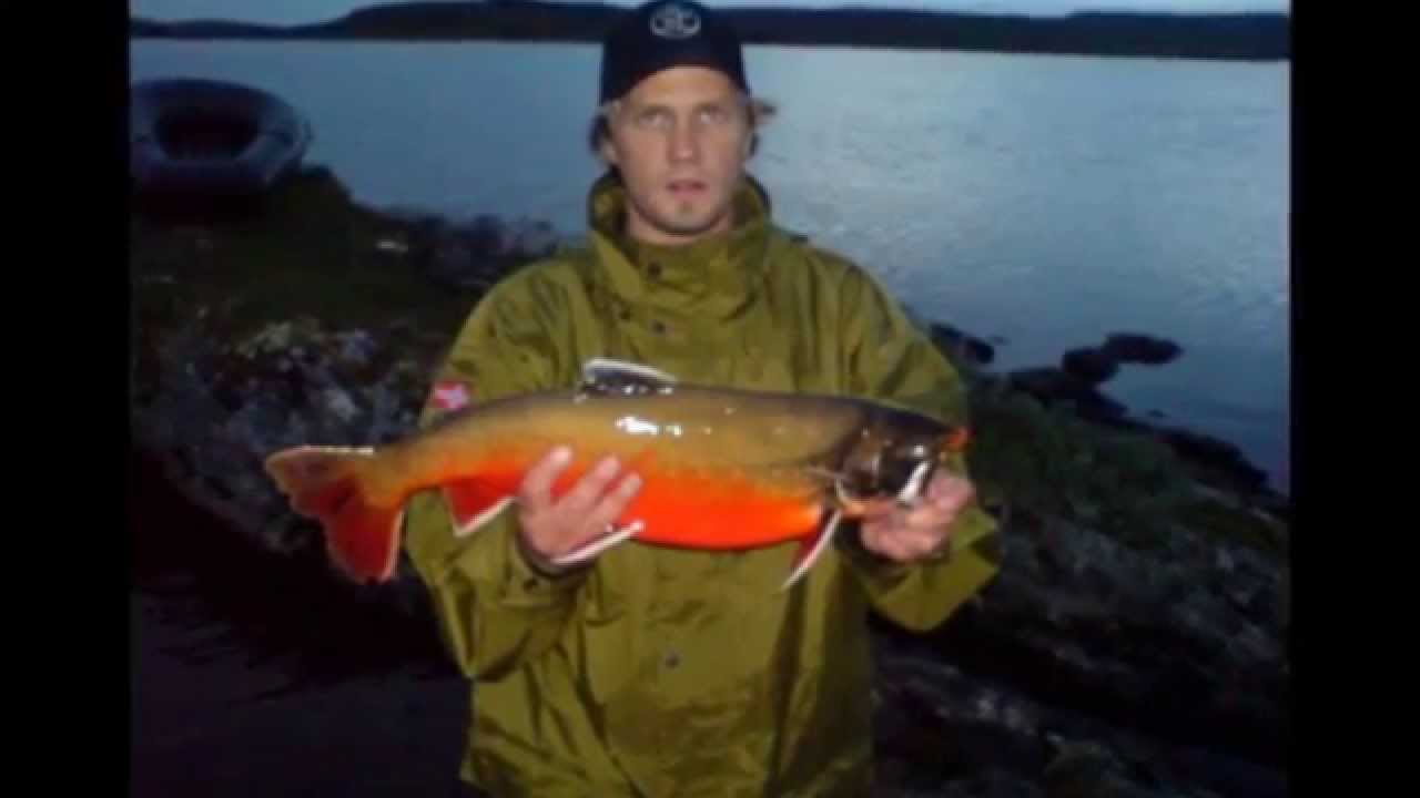 Fiske i Tana Finnmark.