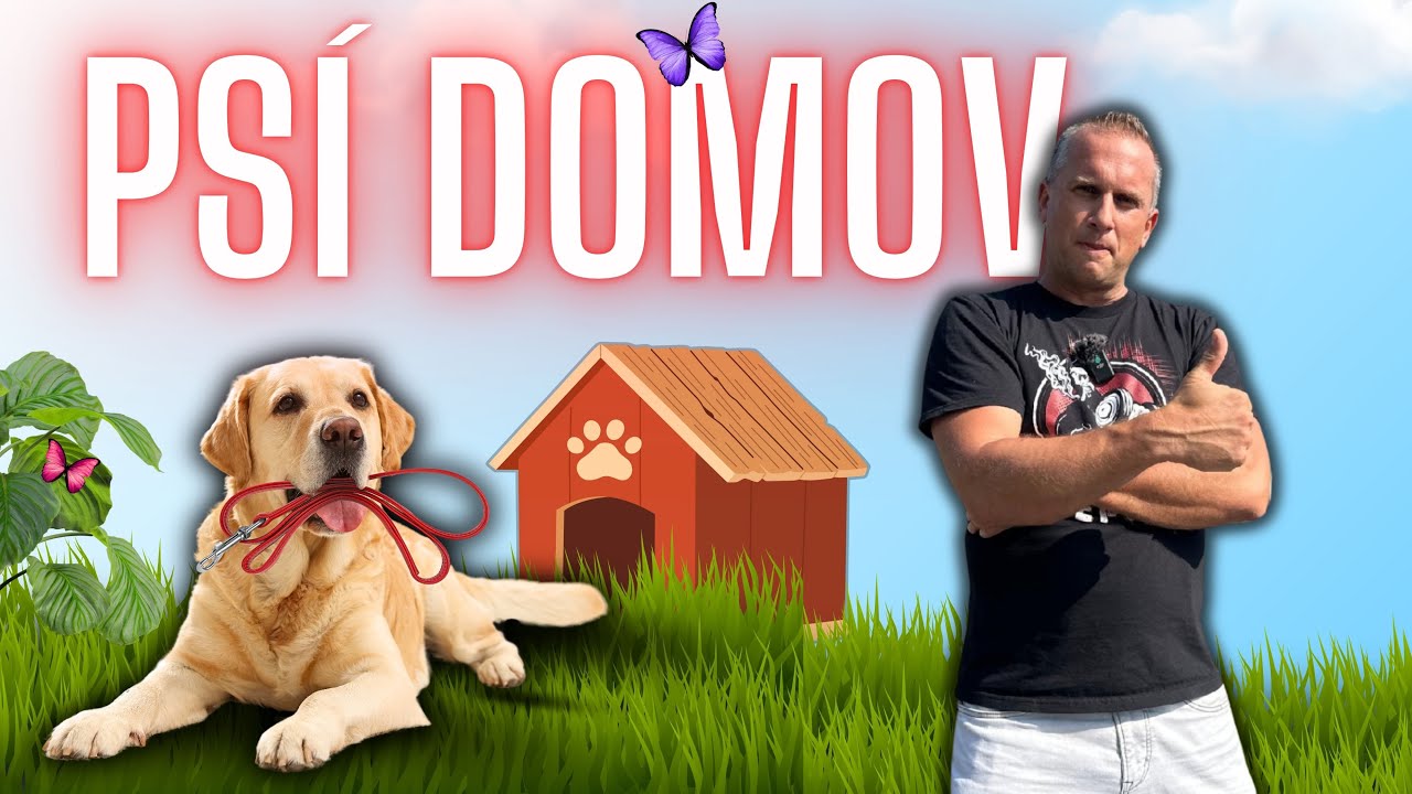 🐾 Psí domov Řepnice – místo, kde naděje dostává druhou šanci 🐾