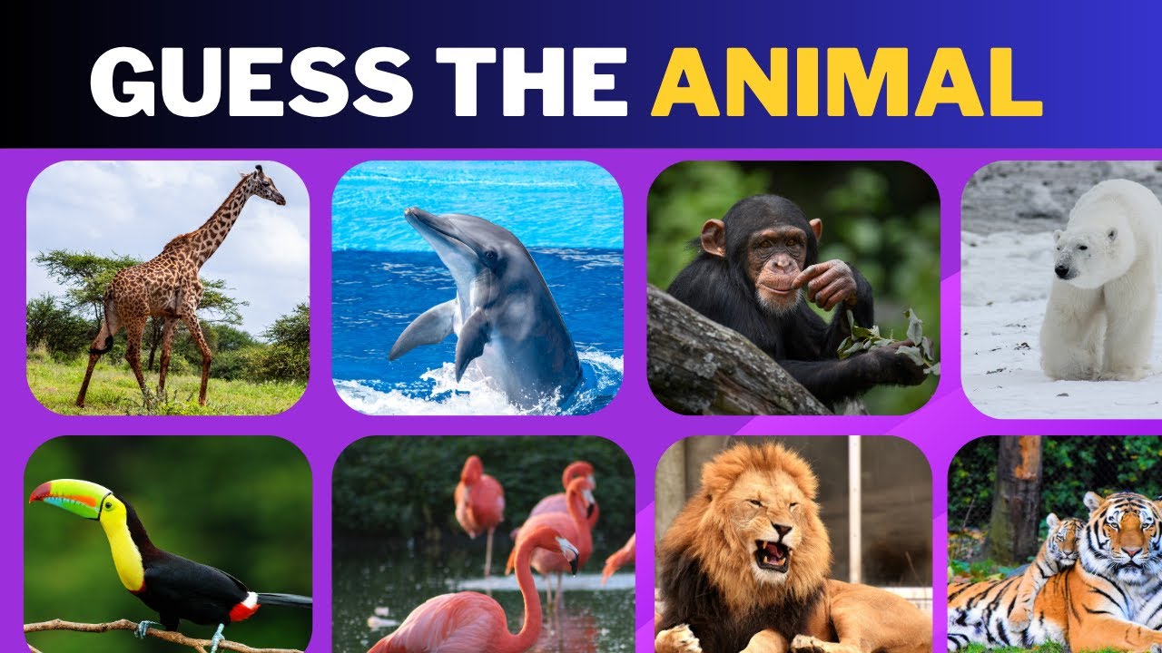 Guess the Animal Quiz 🐾 | Can You Name All 15 Animals?
