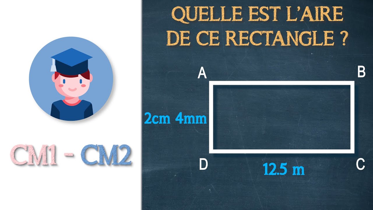 Calcule l'aire de ce rectangle - CM1 CM2 - Petits Savants