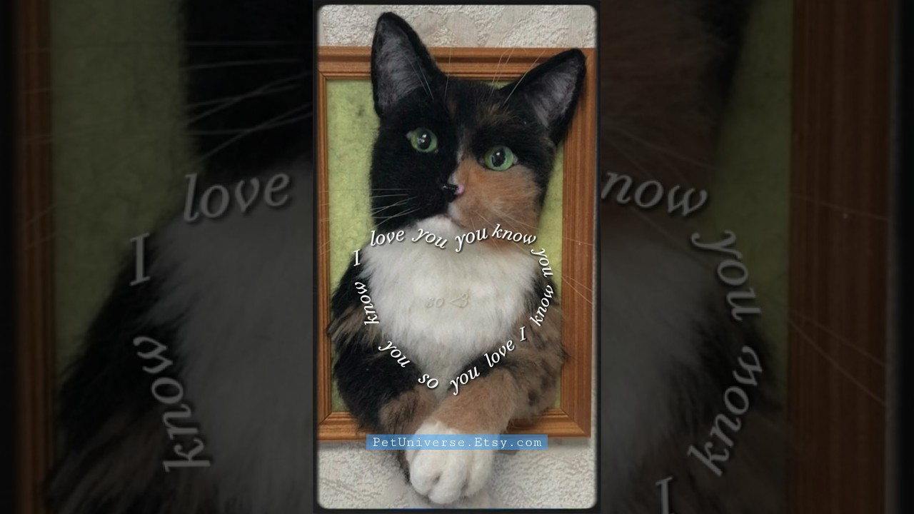 Custom Felt Cat Portrait from Pictures #cats #catlover #pets #catportrait #shorts #catloss
