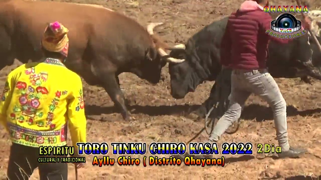 Toro Tinku Chiro Kasa 2022