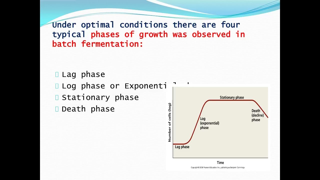 Aerobic fermentation, Batch fermentation, Fed batch fermentation, Continuous fermentation