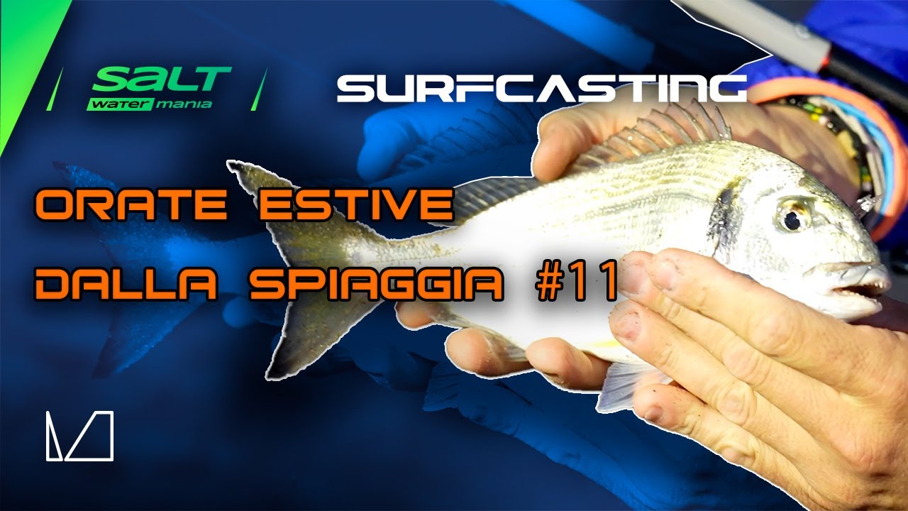 SALT WATER MANIA - PUNTATA 11 - SURFCASTING - ORATE ESTIVE DALLA SPIAGGIA