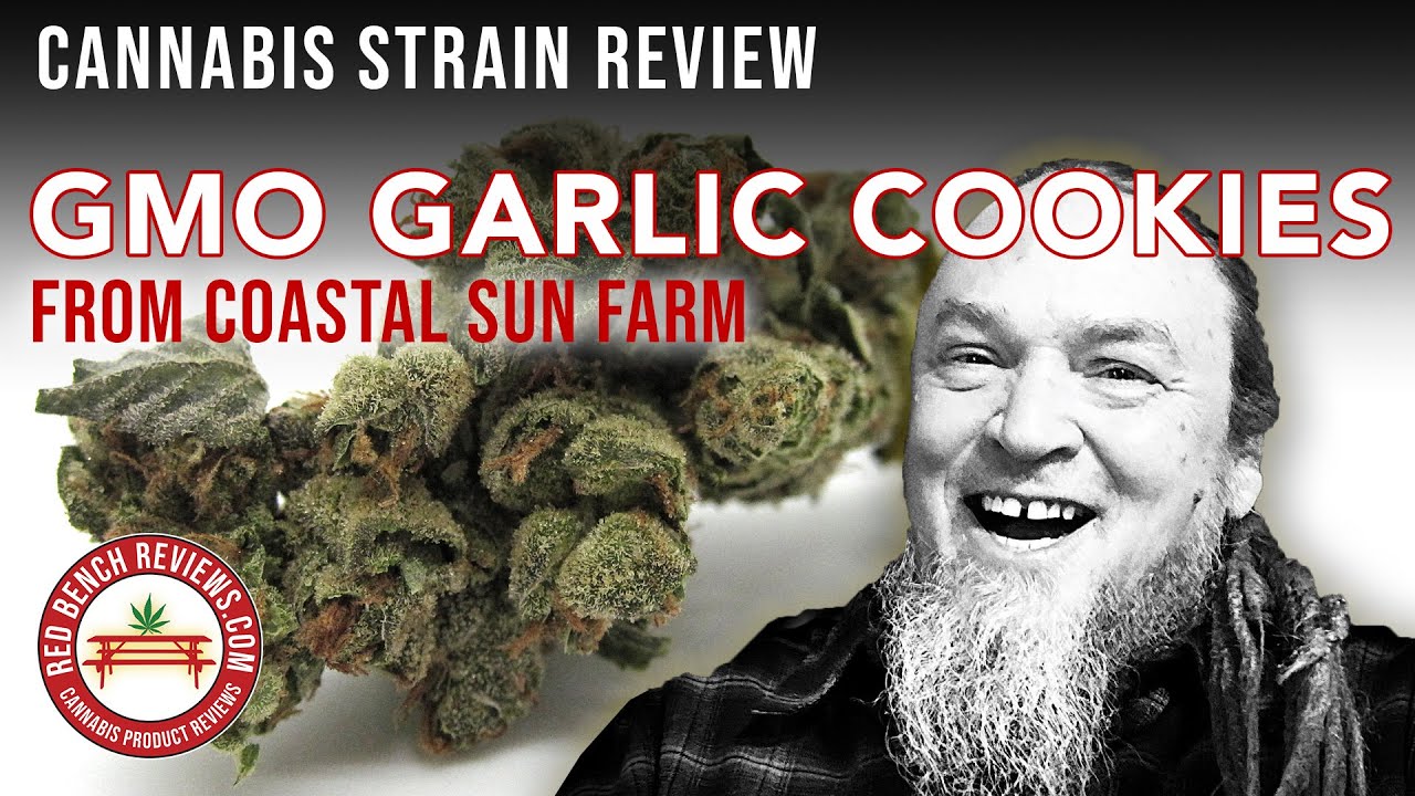 Coastal Sun Farm | GMO Garlic Cookies Strain Review | 33% THC