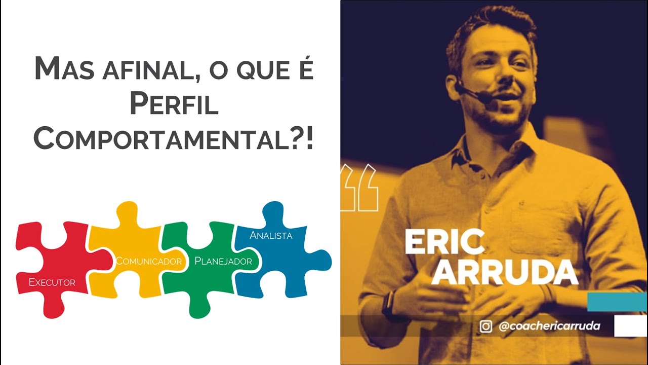 Perfil Comportamental - O que &eacute;?