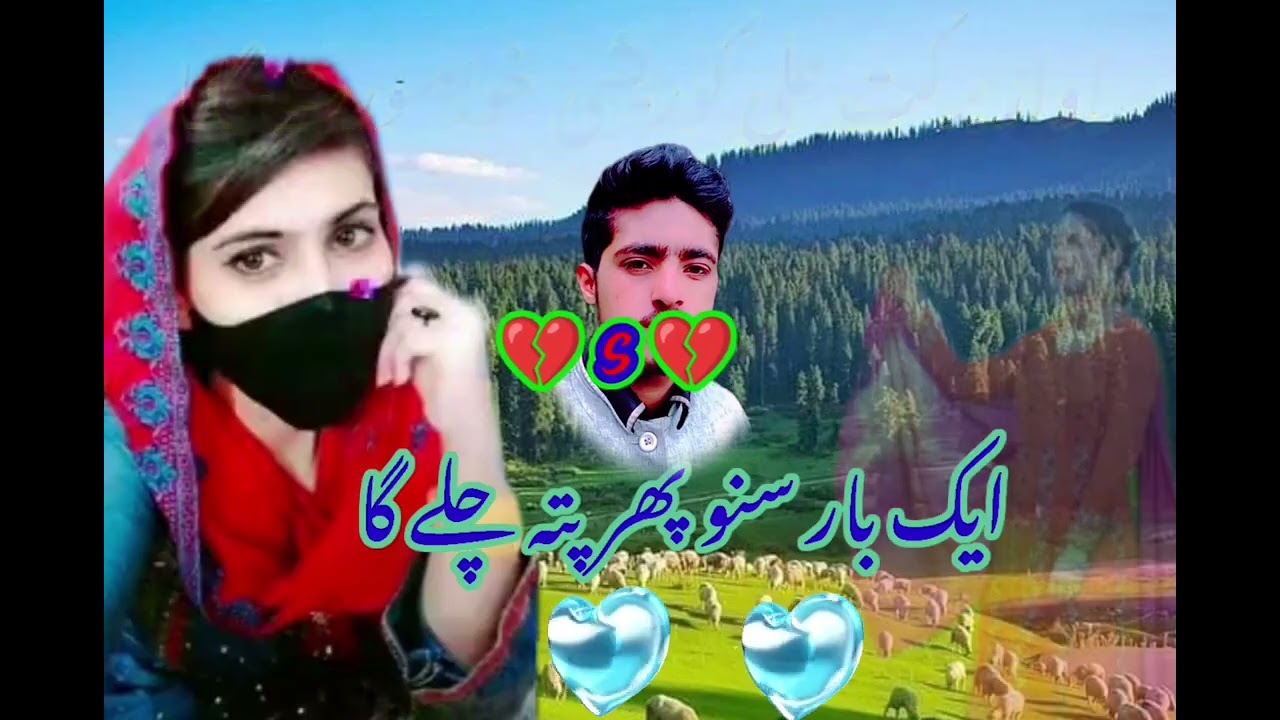 Barkat💞 Ali 🥰Qureshi 😍 Old🍓 Song🌹 Gojri 🥀pahari 🍎song💓