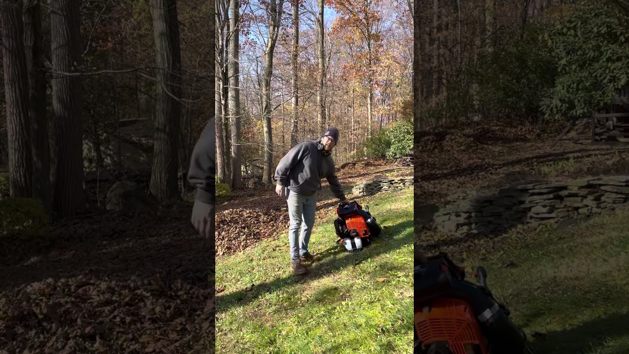 Echo PB9010T Leaf Blower Real Demo