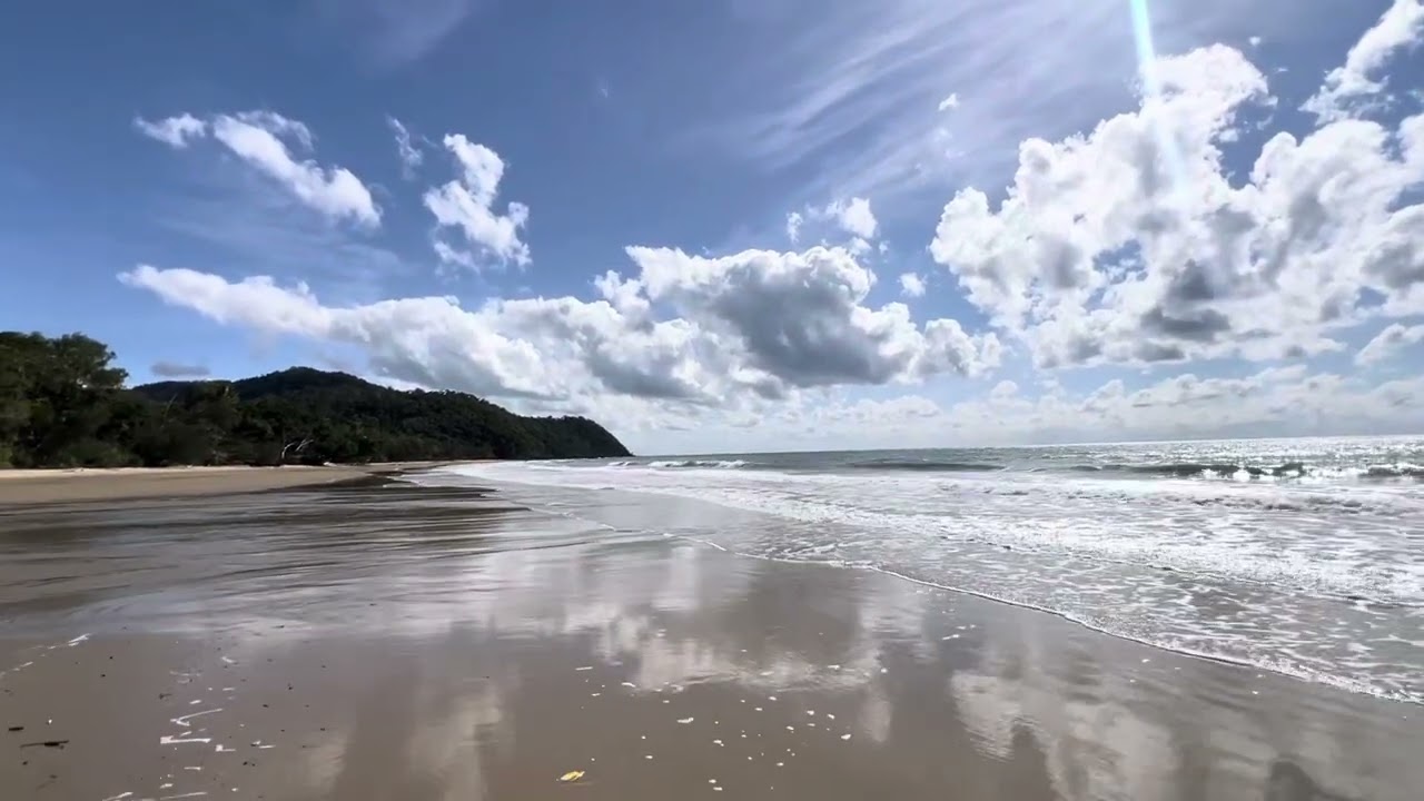 1 May 2025 Cow Bay Daintree