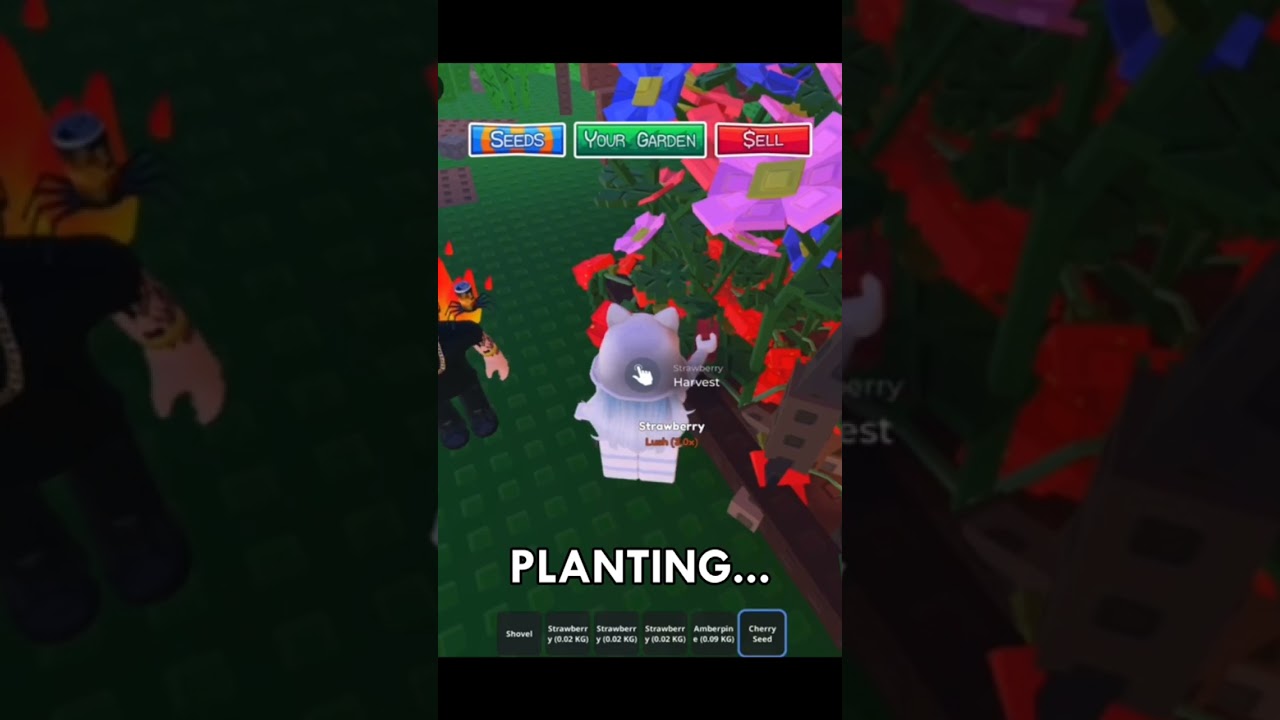 Cherry on stock.. Garden Horizon #roblox #garden