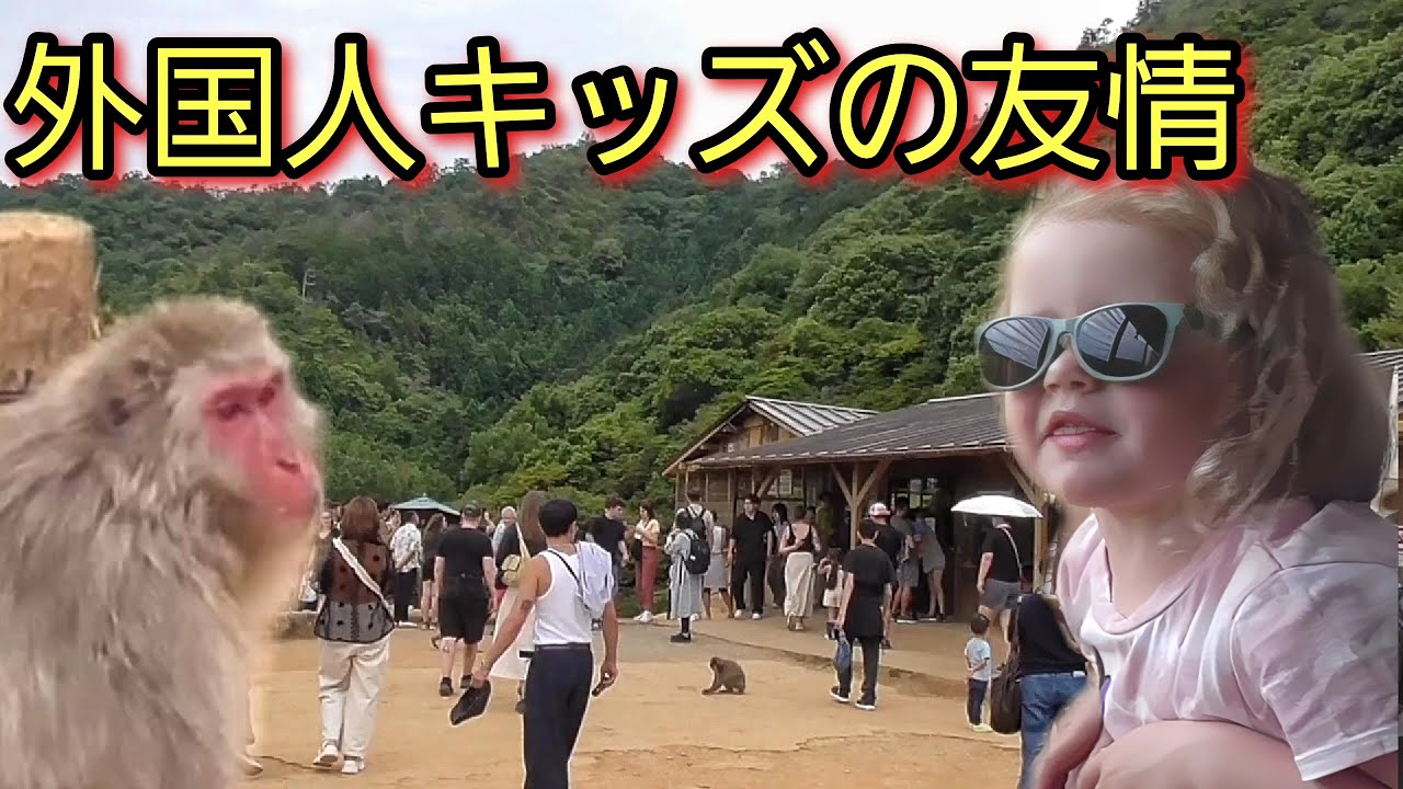 日本のおサルは頭いいんだね。外国人観光客のキッズがモンキーパークで友情を感じる