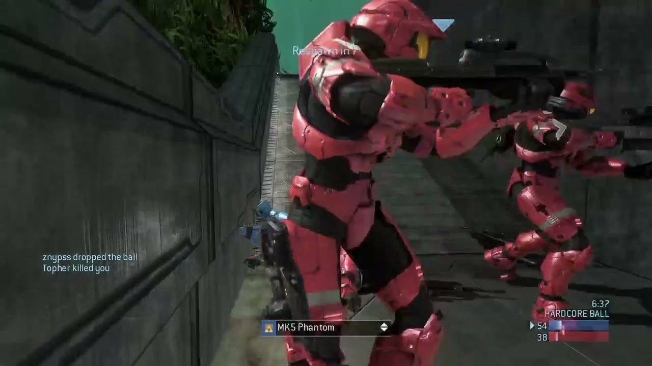 Zynpps Joins in the customs