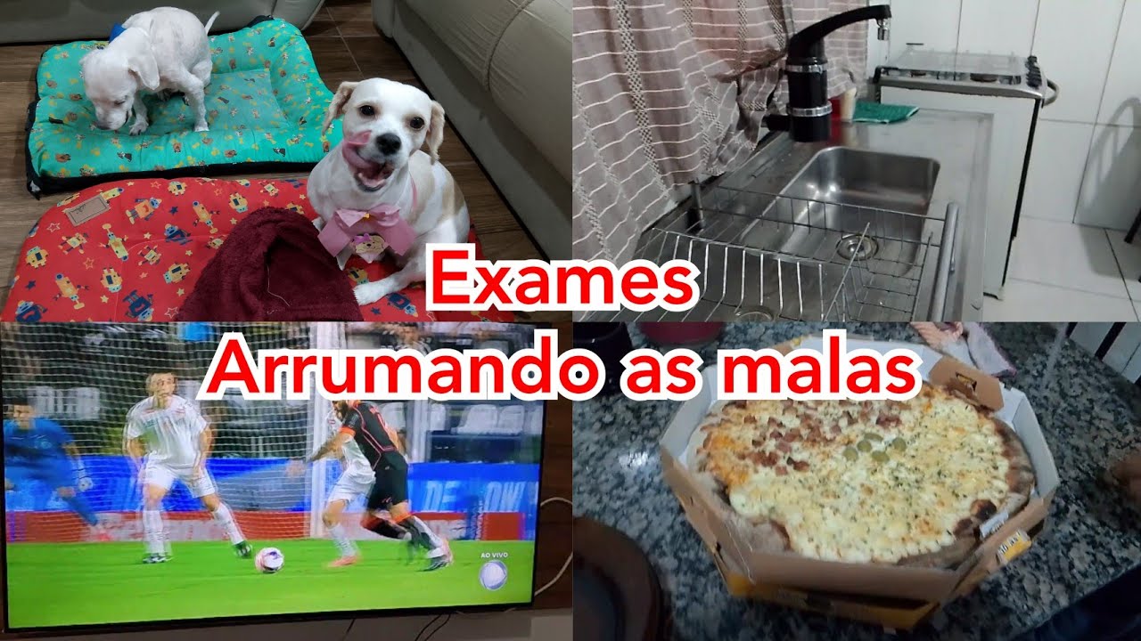 Dia corrido: exames, arrumando as malas e pet shop