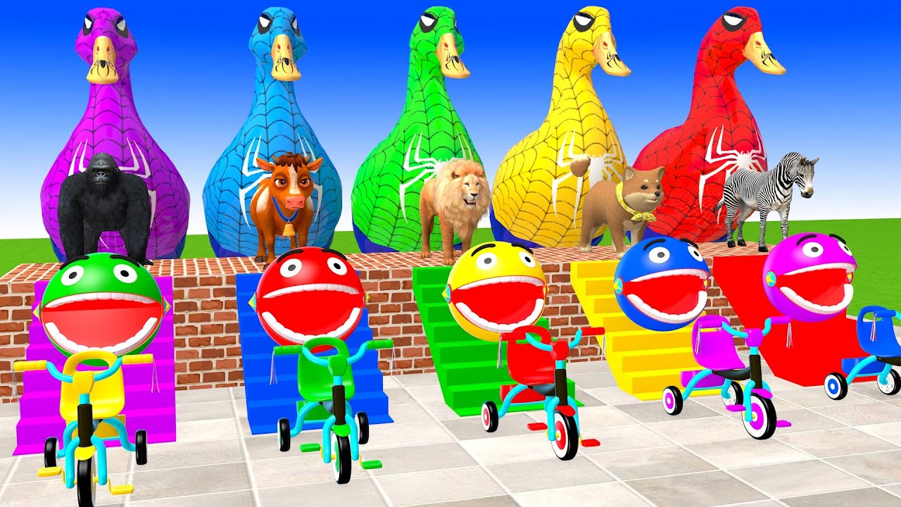 Long Slide Game With Elephant Gorilla Cow Lion Dog Zebra 3d Animal Cage Game Funny 3d Animals