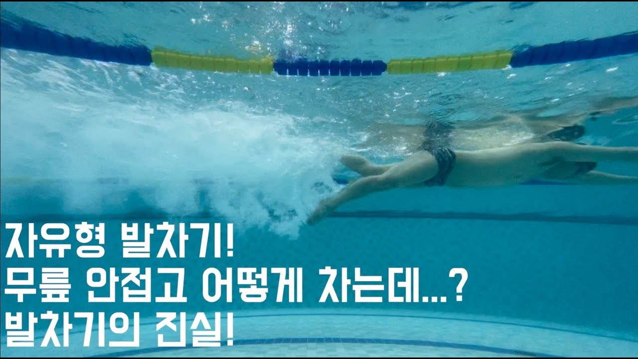 수영! 자유형 기초 발차기 차는법!