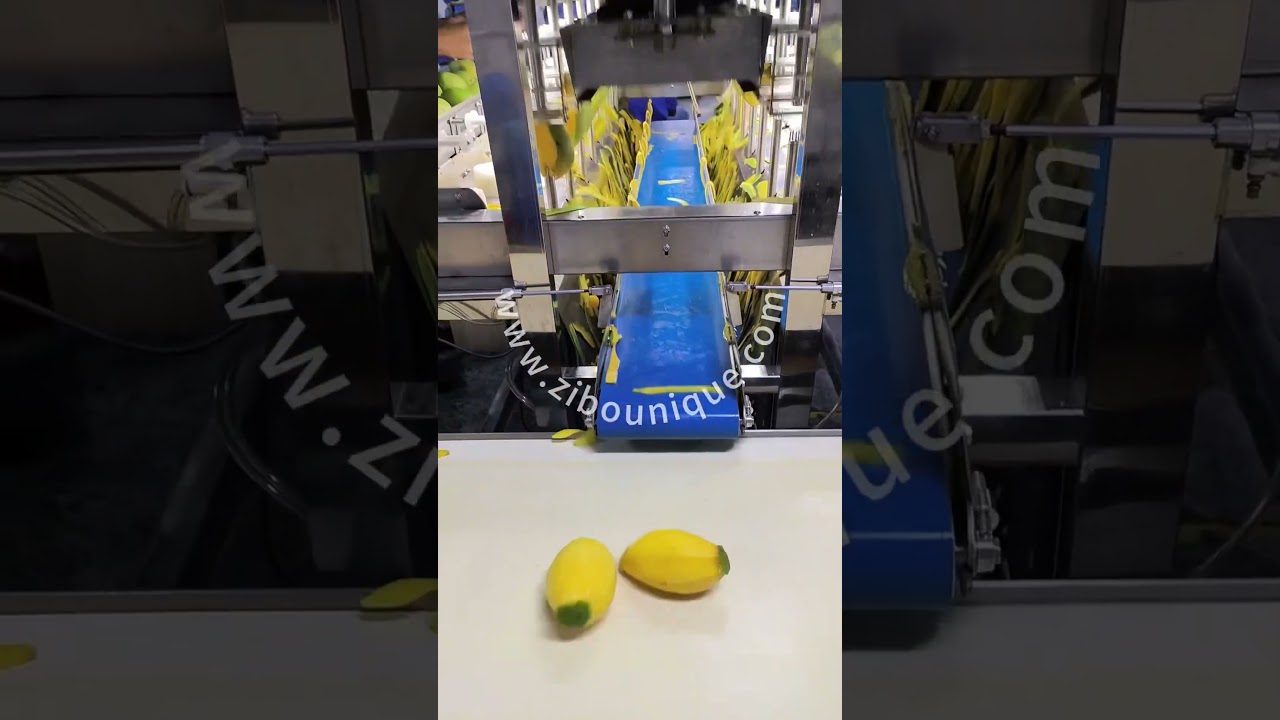 Mango peeling machine